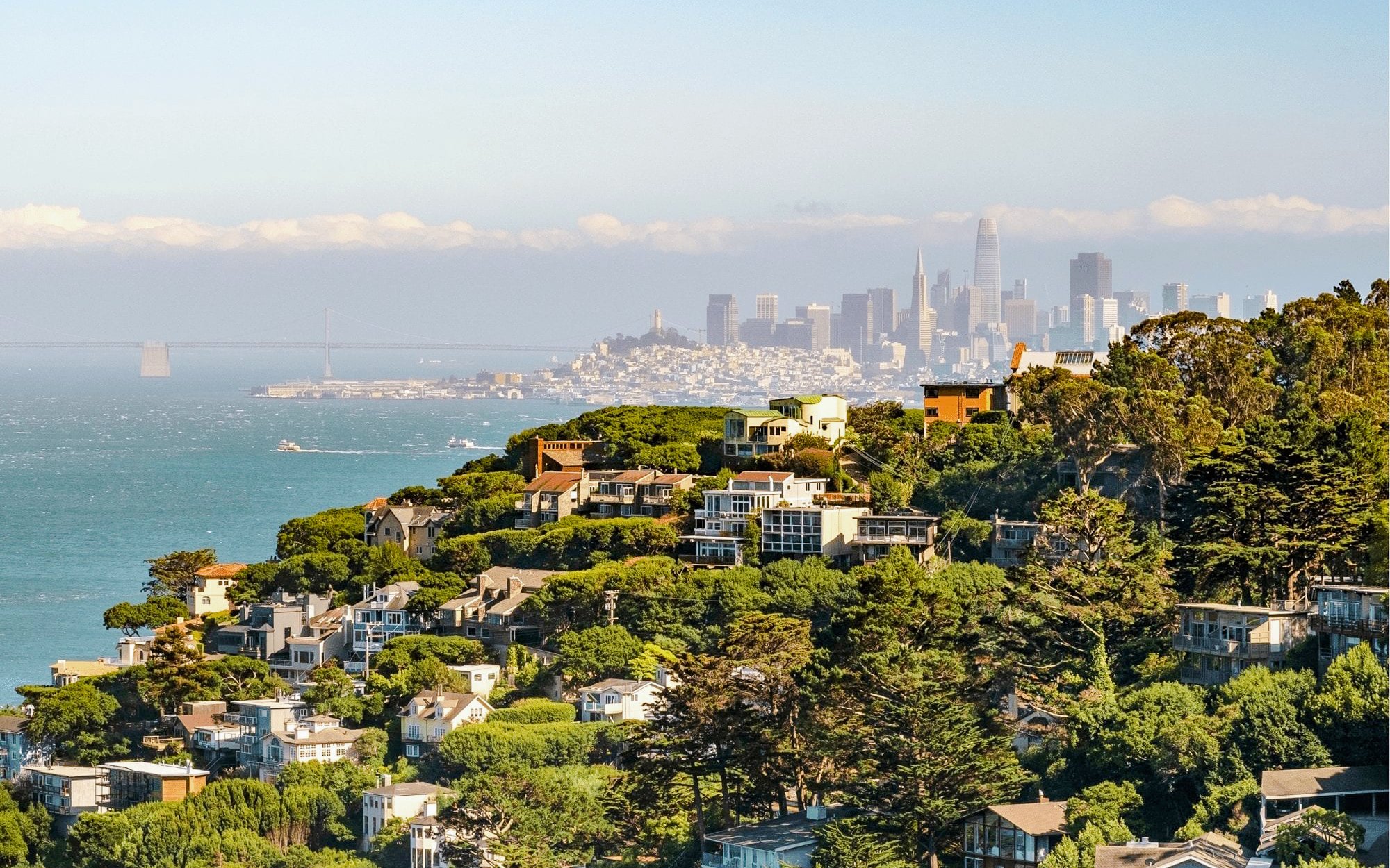 Sausalito hillside homes with San Francisco skyline across the bay.