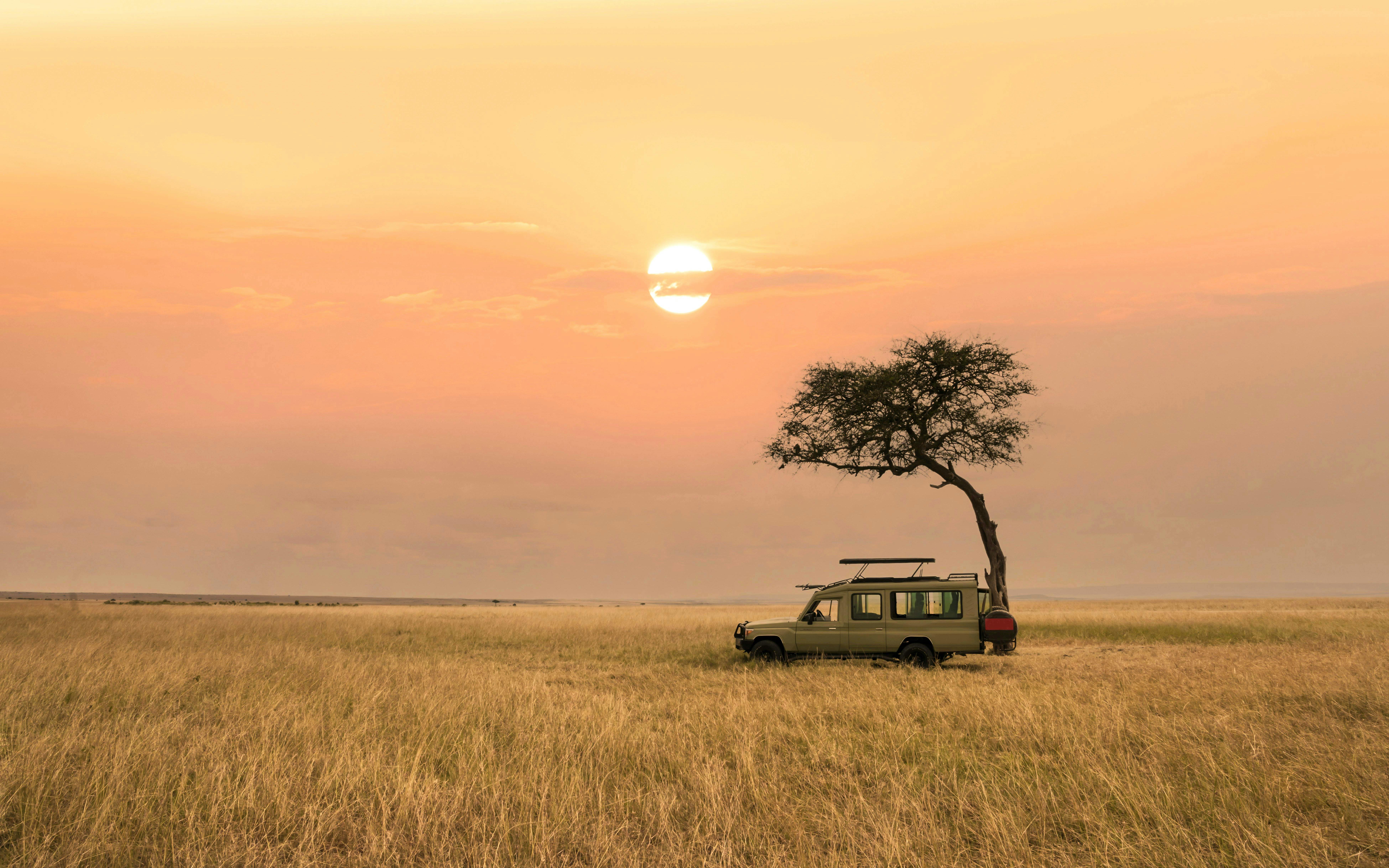 Safari vehicle on African savanna grassland at sunset near a solitary tree.