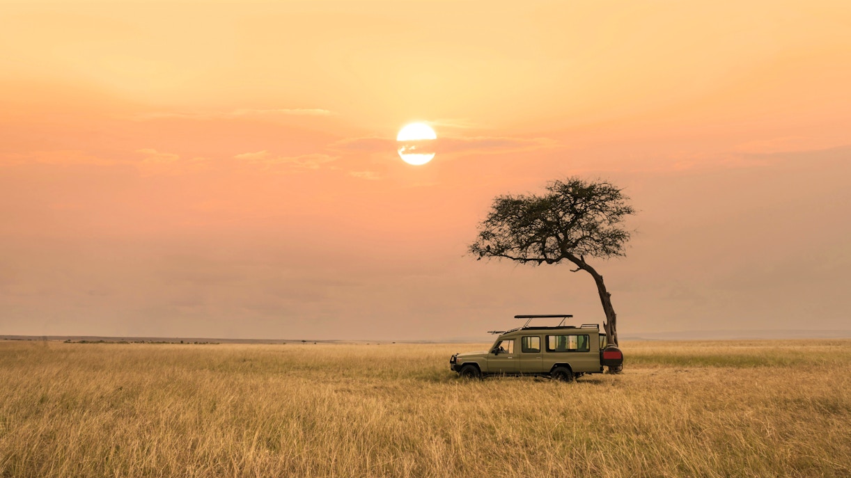 Safari vehicle on African savanna grassland at sunset near a solitary tree.