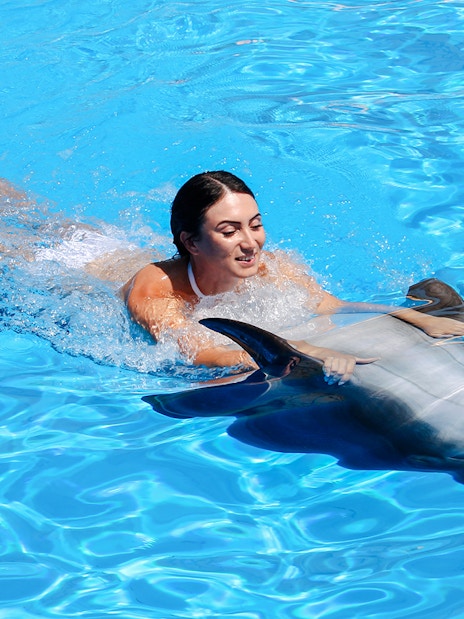 Swimming with a dolphin at Dolphinarium Pattaya for non-Thai residents.