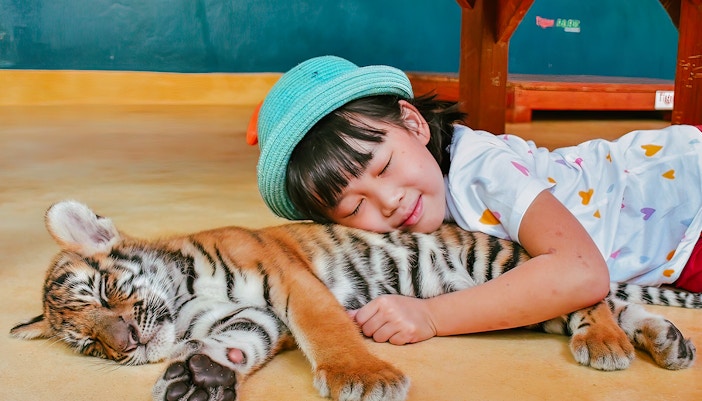 Girl holding tiger cub at Tiger Park Phuket, Thailand.