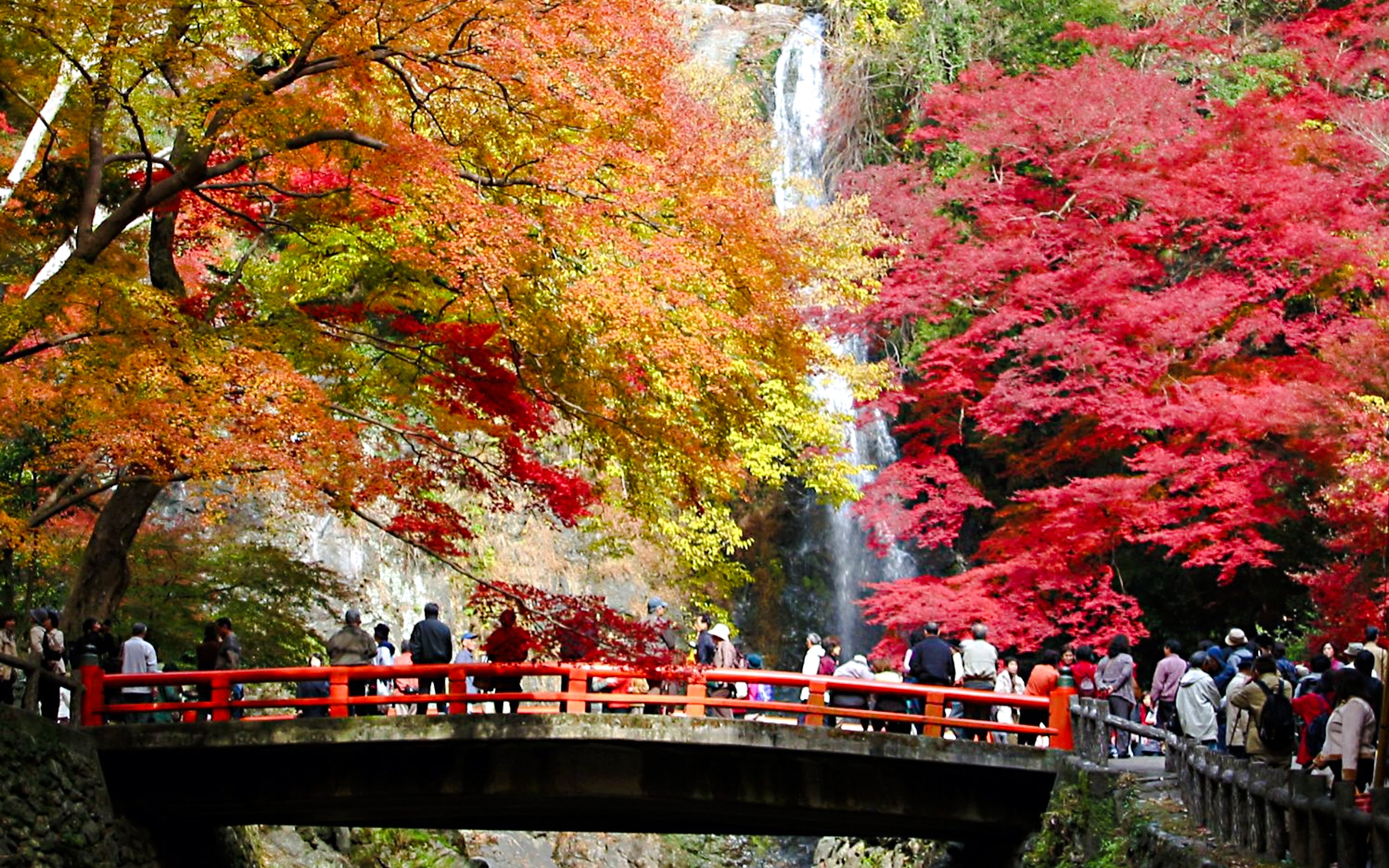 Visitors on a bridge at Minoh Park, Osaka, with autumn foliage and waterfall in the background.