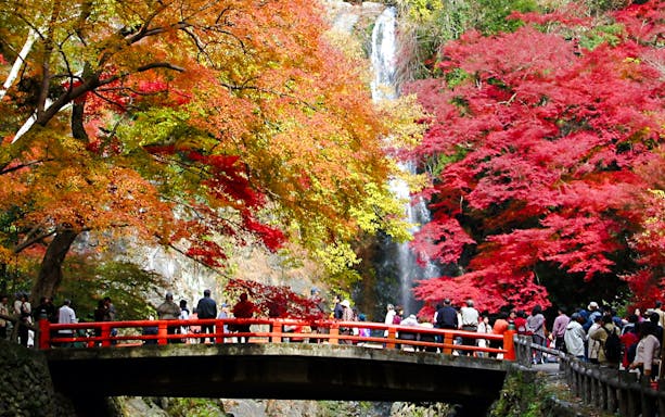 Visitors on a bridge at Minoh Park, Osaka, with autumn foliage and waterfall in the background.