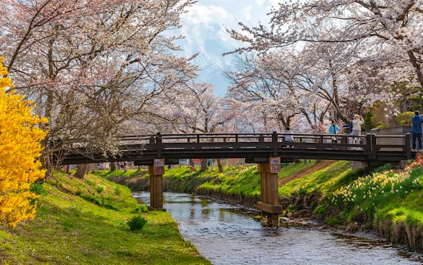 Oshino Hakkai village with traditional thatched-roof houses near Mt Fuji, Fuji Five Lake region.