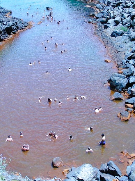Guests swimming in Santorini hot springs surrounded by volcanic rocks.