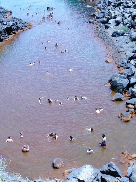 Guests swimming in Santorini hot springs surrounded by volcanic rocks.