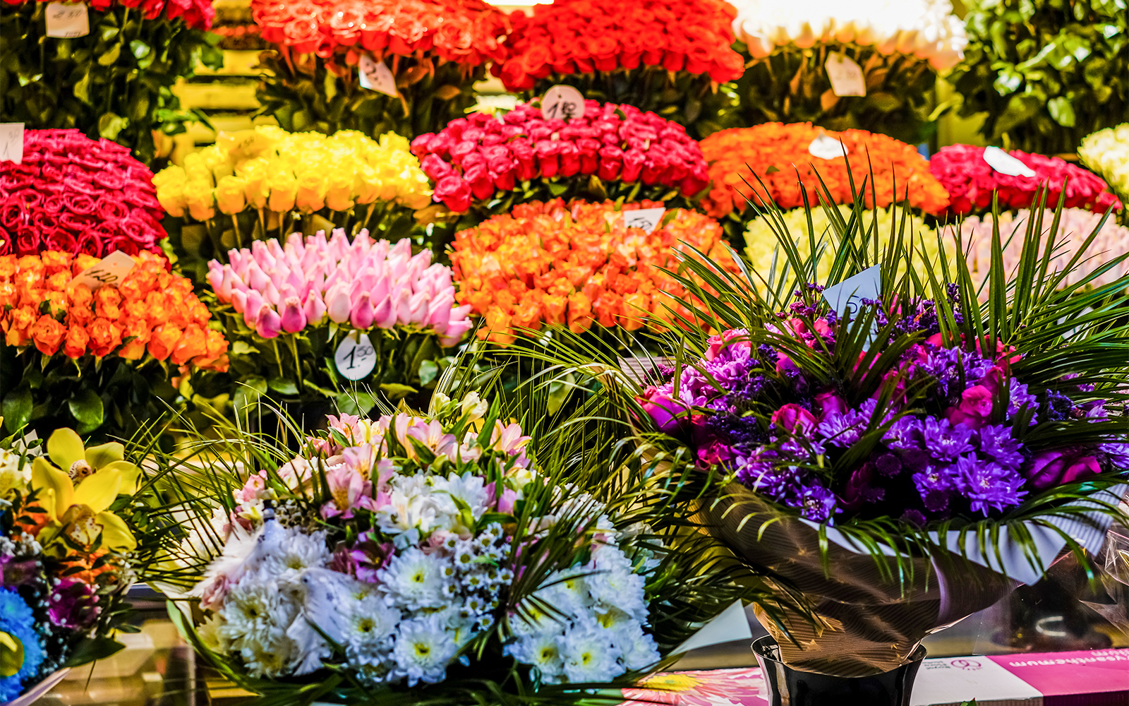 Ile de la Cité Flower and Bird Market with vibrant stalls and visitors browsing plants and birds