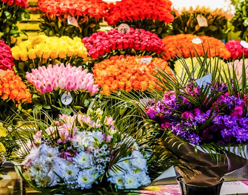 Ile de la Cité Flower and Bird Market with vibrant stalls and visitors browsing plants and birds
