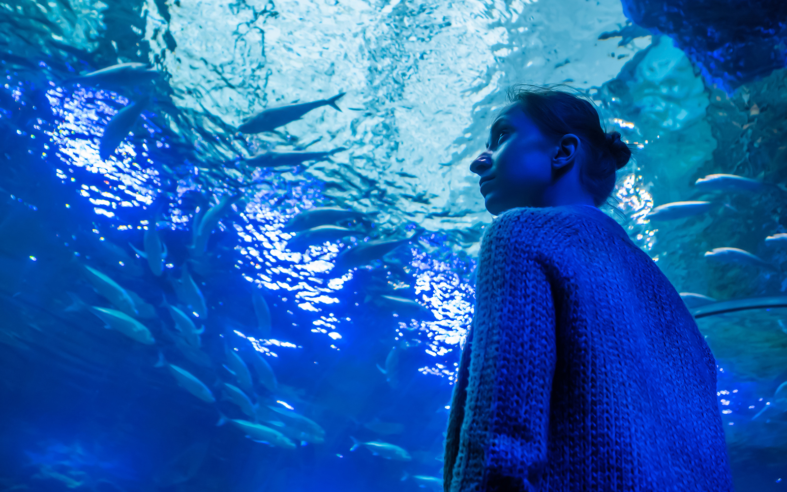 Woman observing fish in aquarium tunnel wearing a sweater.