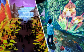 Visitors at David Hockney exhibit viewing vibrant nature scene projections.