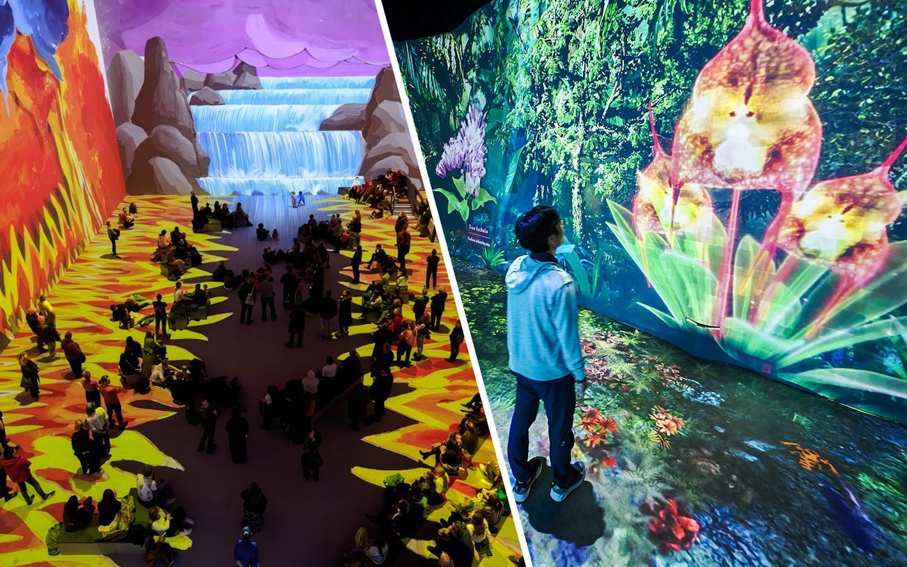 Visitors at David Hockney exhibit viewing vibrant nature scene projections.