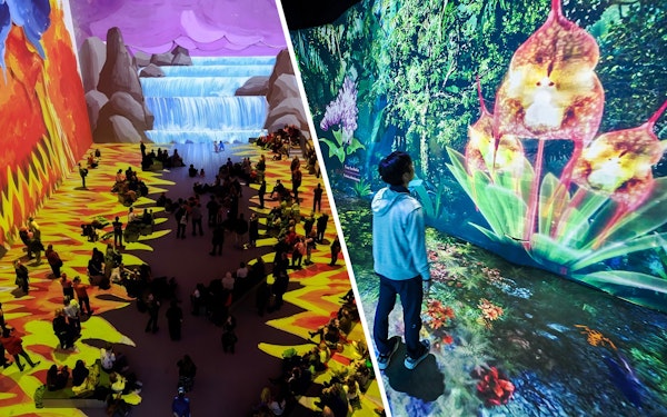 Combo: David Hockney: Bigger & Closer Experience + Gardens by the Bay Cloud Forest & Flower Dome