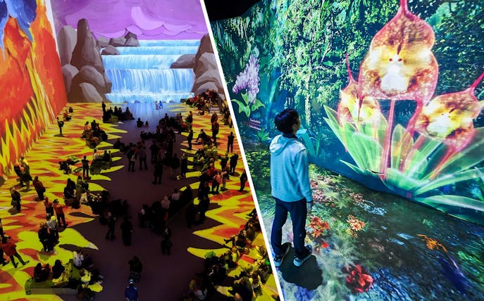Visitors at David Hockney exhibit viewing vibrant nature scene projections.