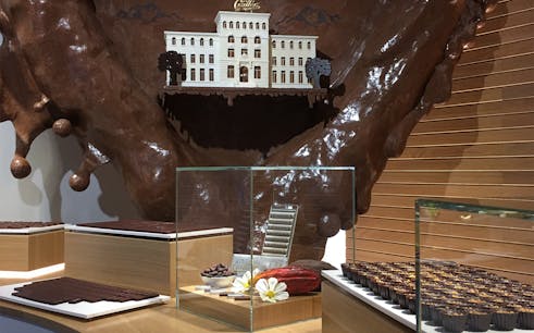full-day guided tour of gruyères medieval village with chocolate tasting-1