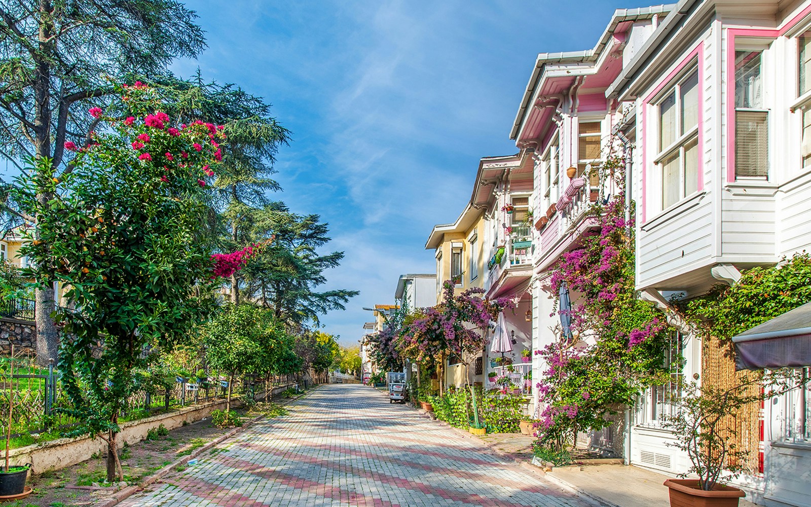 Heybeliada Island street with colorful houses and blooming flowers in Istanbul.