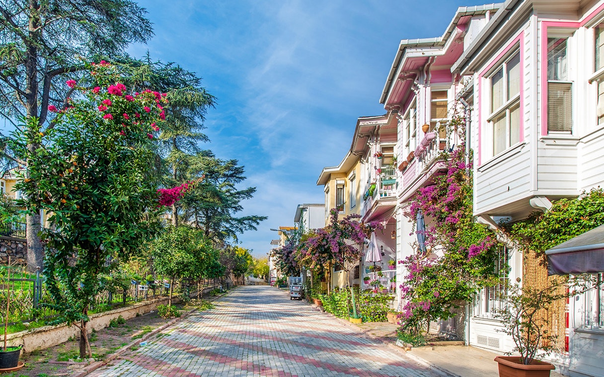 Heybeliada Island street with colorful houses and blooming flowers in Istanbul.