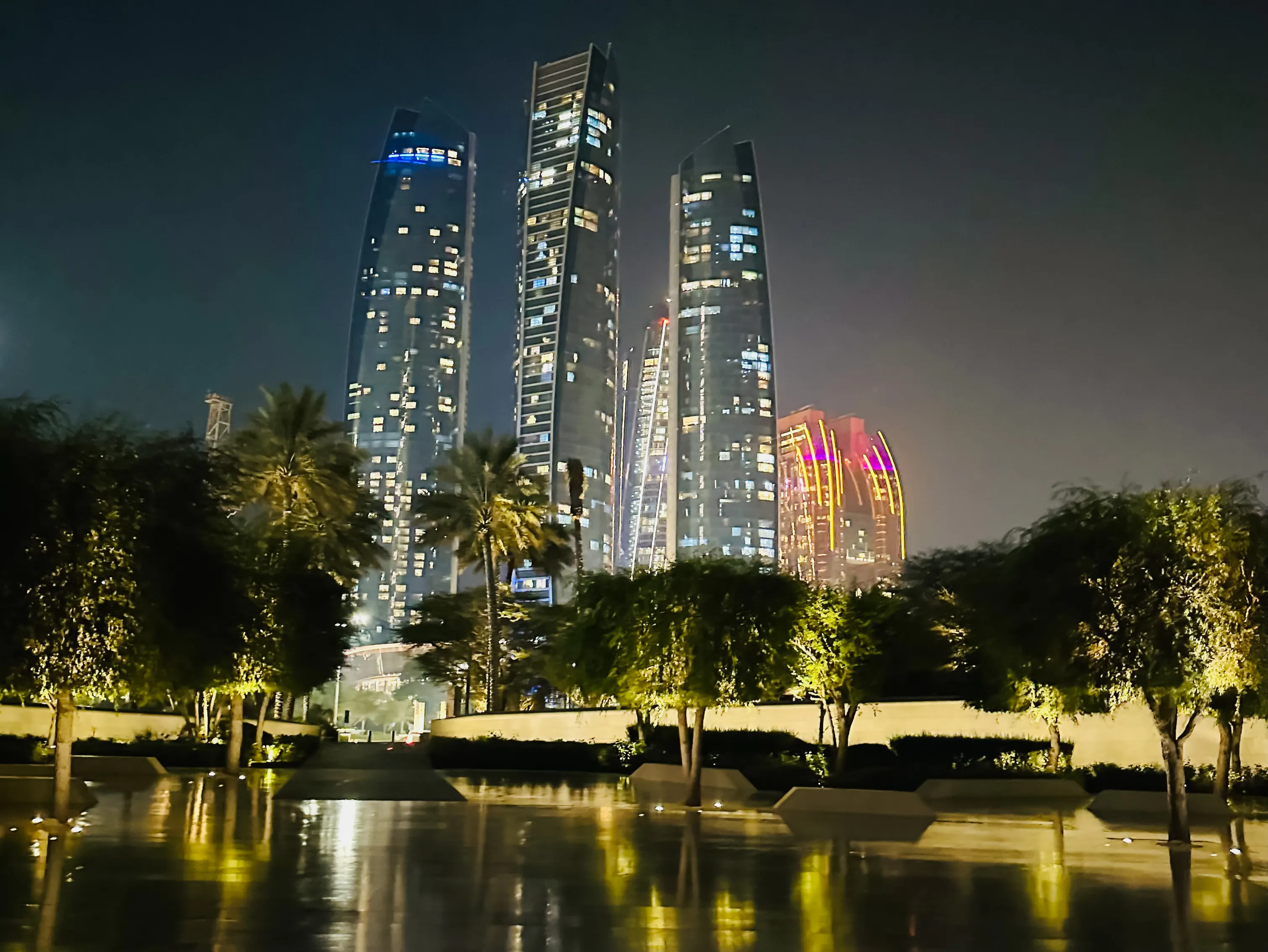 Skyscrapers illuminated at night with palm trees in Abu Dhabi during a private city tour.