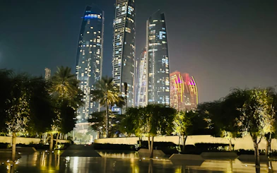 Skyscrapers illuminated at night with palm trees in Abu Dhabi during a private city tour.