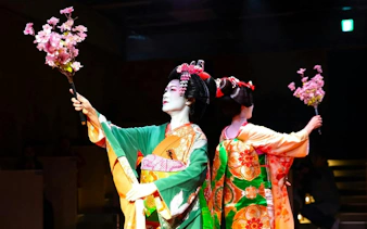 Geishas performing traditional dance with cherry blossoms at Kyoto Sumo Entertainment Show.