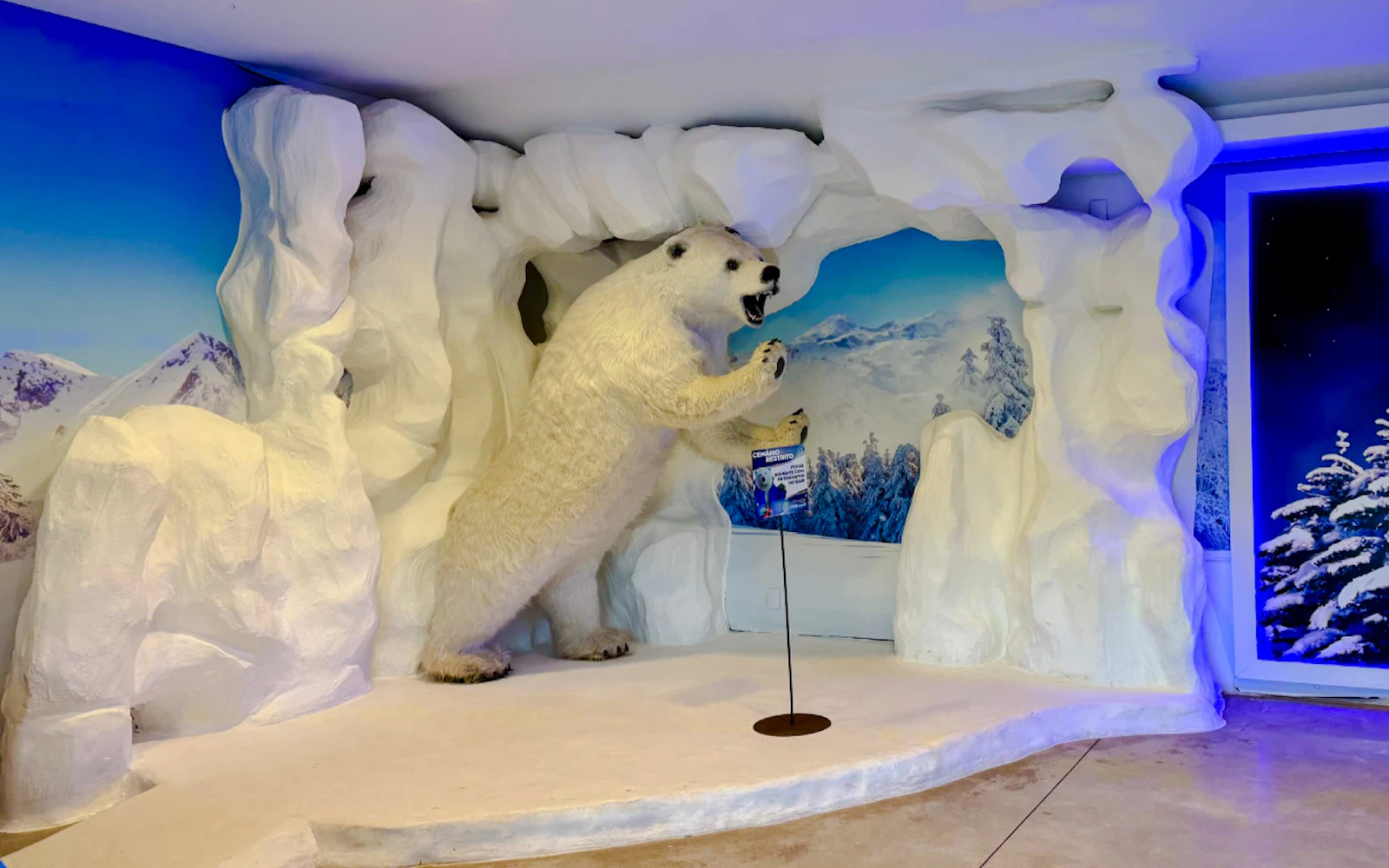 Dreams Ice Bar Foz do Iguaçu Tickets with Open Bar and Shared Round-Trip Transfers (Product 55780)