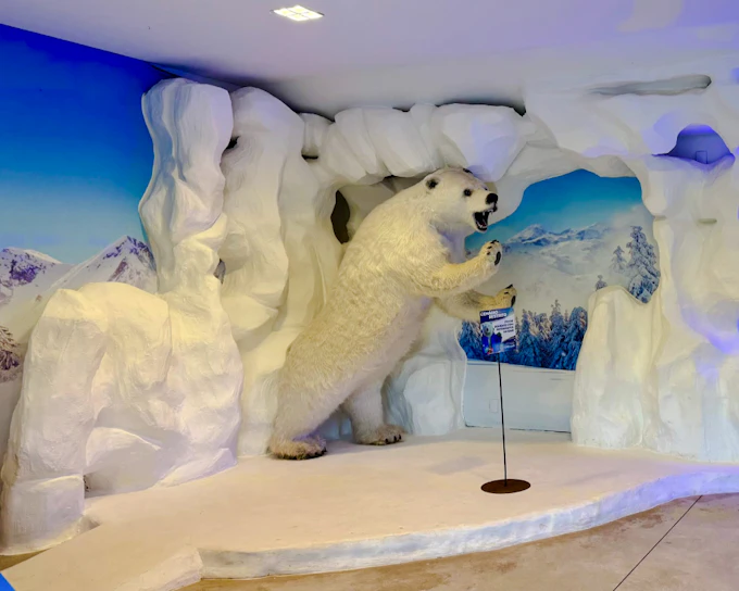 Dreams Ice Bar Foz do Iguaçu Tickets with Open Bar and Shared Round-Trip Transfers (Product 55780)