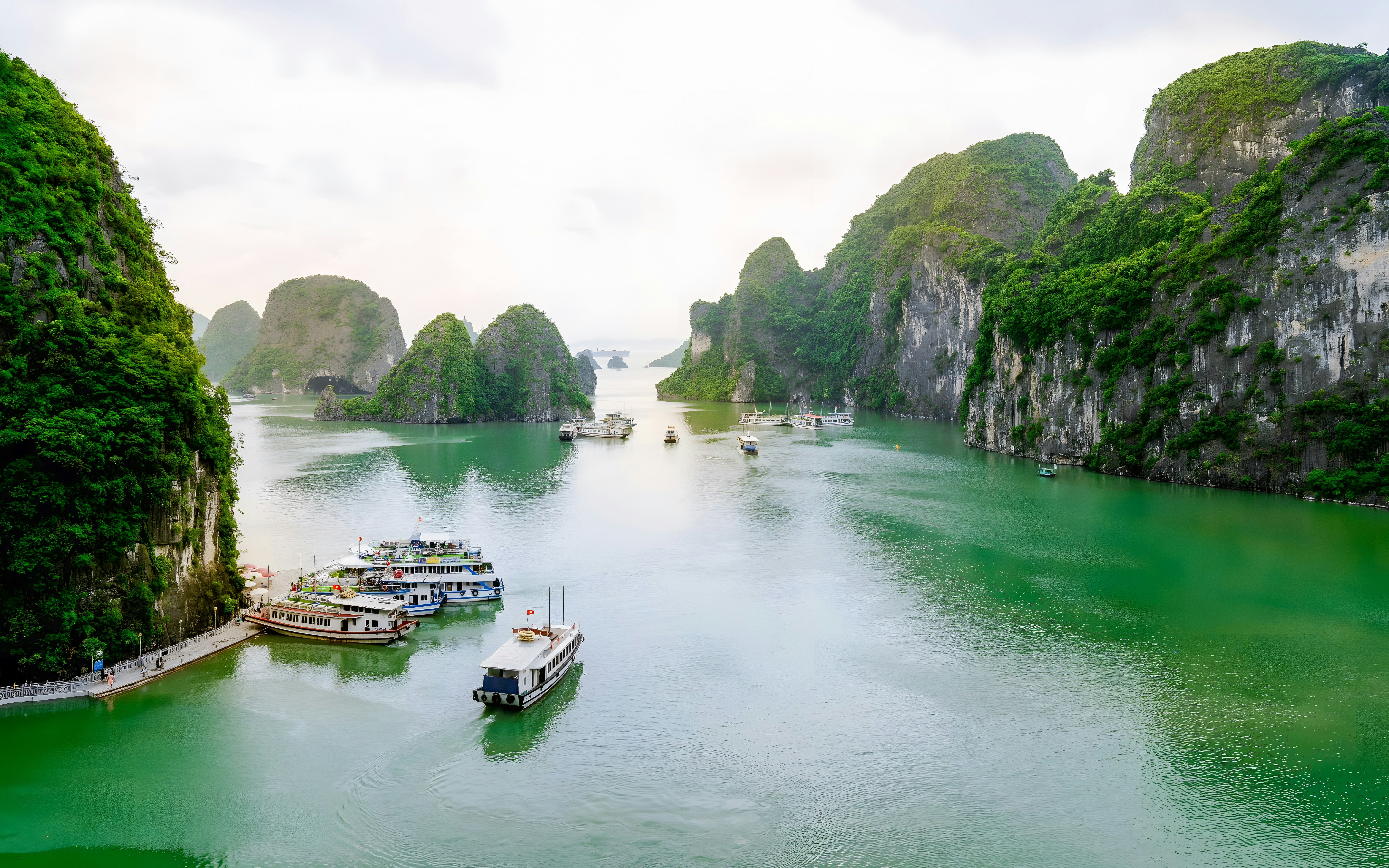 Ha Long Bay limestone karsts rising from emerald waters, Vietnam.
