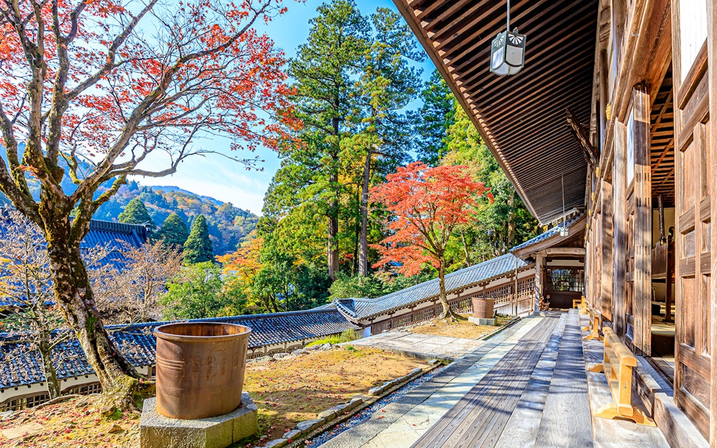 Traditional Japanese temple with autumn foliage in Kansai-Hokuriku area.