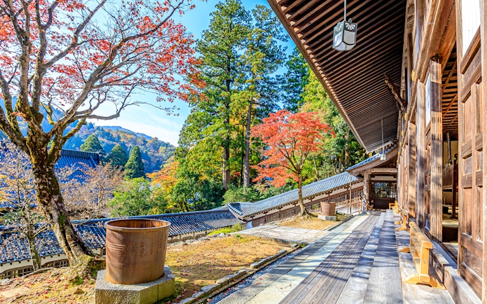 Traditional Japanese temple with autumn foliage in Kansai-Hokuriku area.