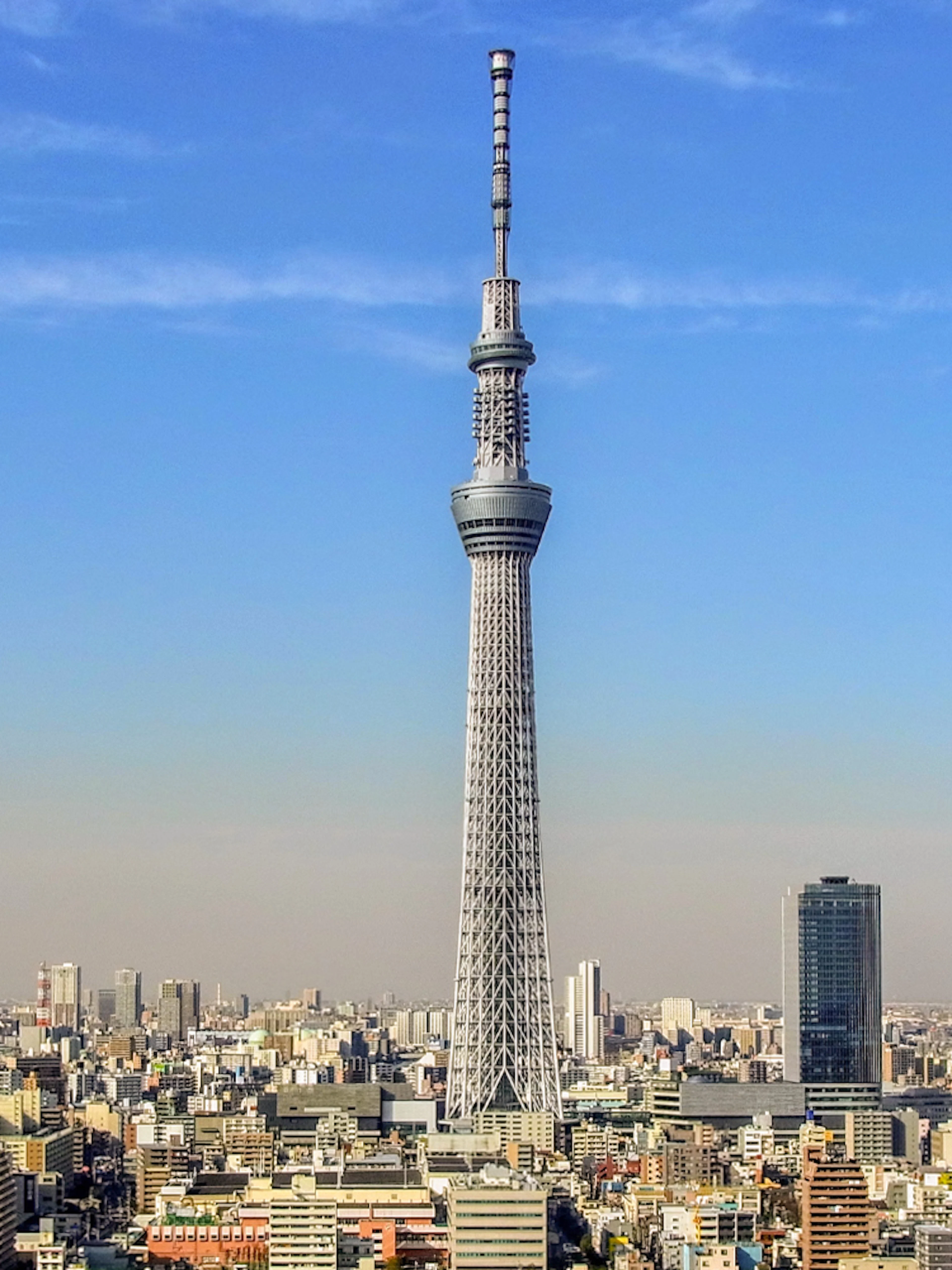 Tokyo Sky Tree towering over the city skyline under a clear blue sky.