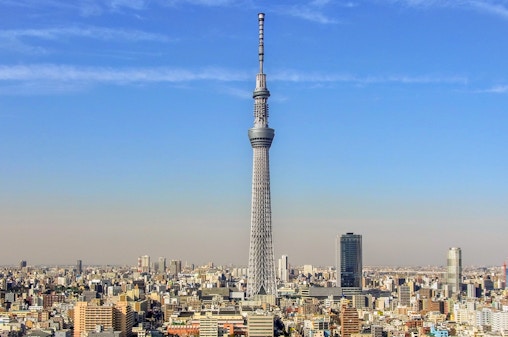 Amazing Tokyo 1-Day Bus Tour