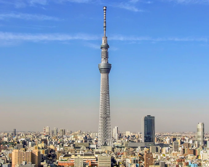 Amazing Tokyo 1-Day Bus Tour