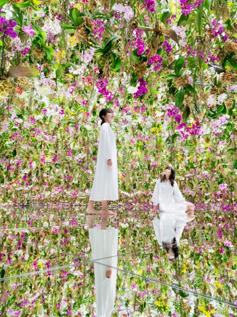 Visitors in a floral room at TeamLab Planets Tokyo immersive art exhibit.