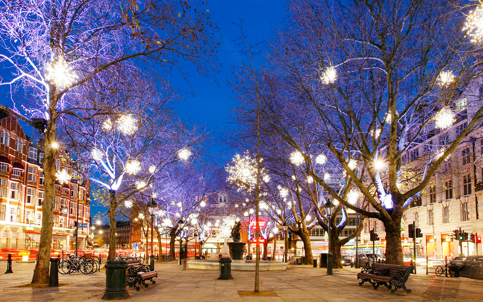 London street adorned with festive Christmas lights on trees during evening tour.