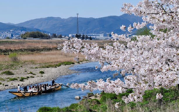Boat on Hozugawa River with cherry blossoms and mountains in the background, Kyoto, Japan.