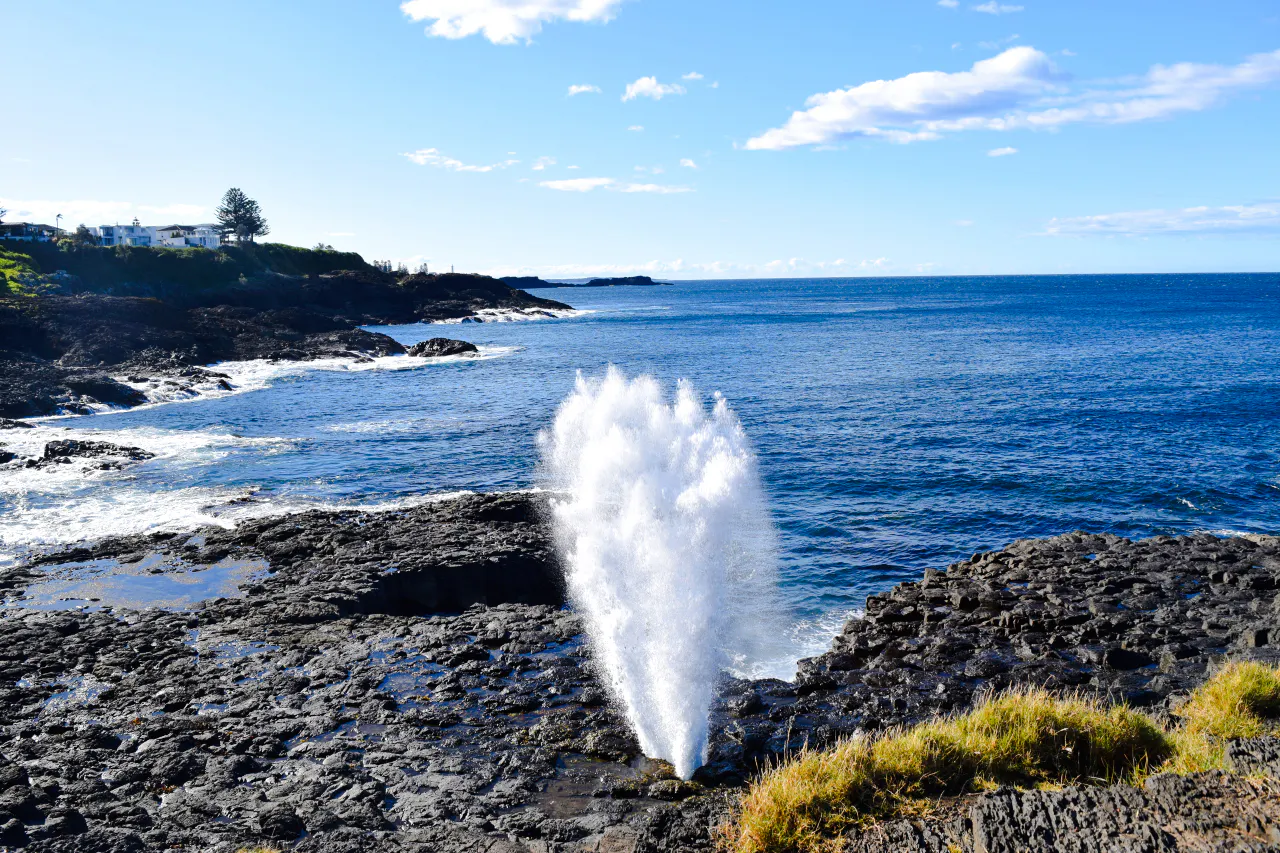 Kiama Blowhole spouting water along rocky coastline, Sydney tour.