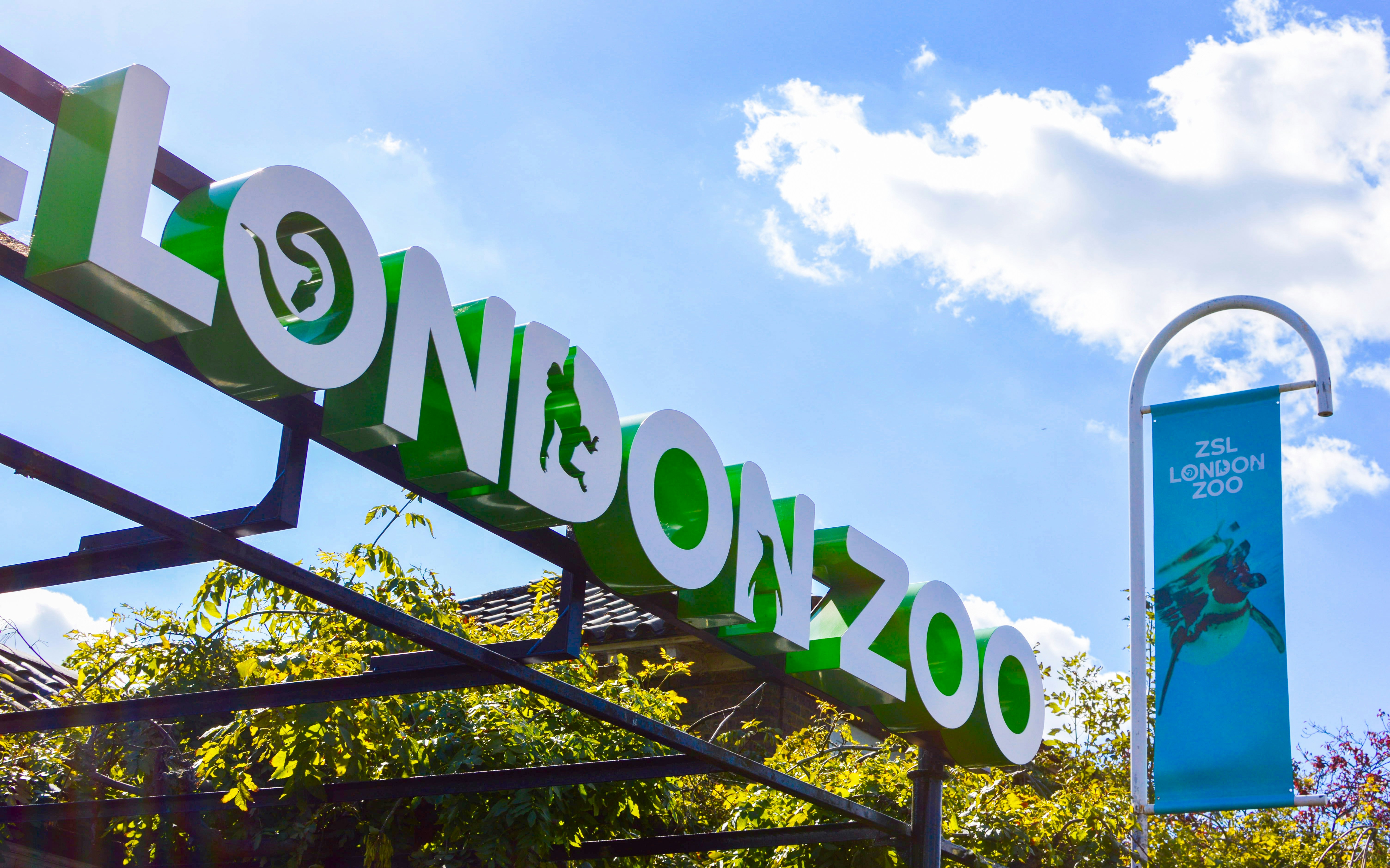 london zoo