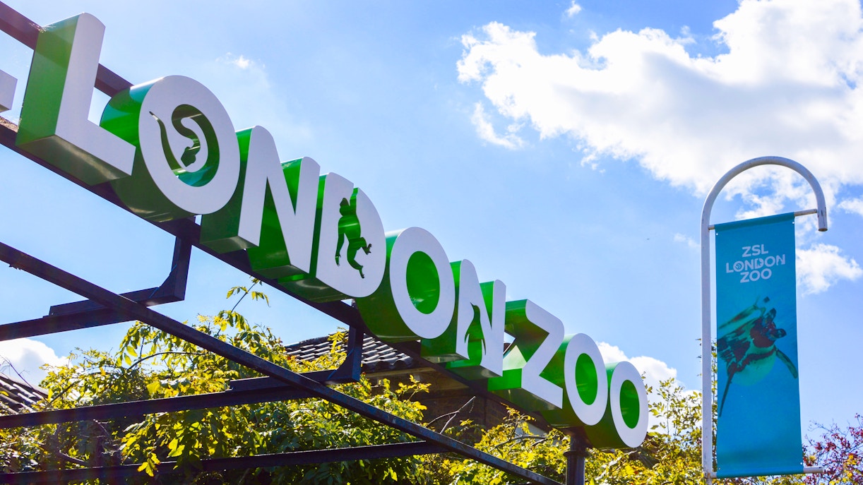 ZSL London Zoo tickets