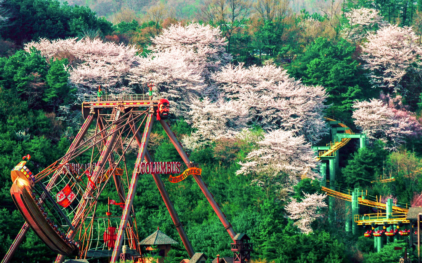 Everland Seoul tickets - Magic Land