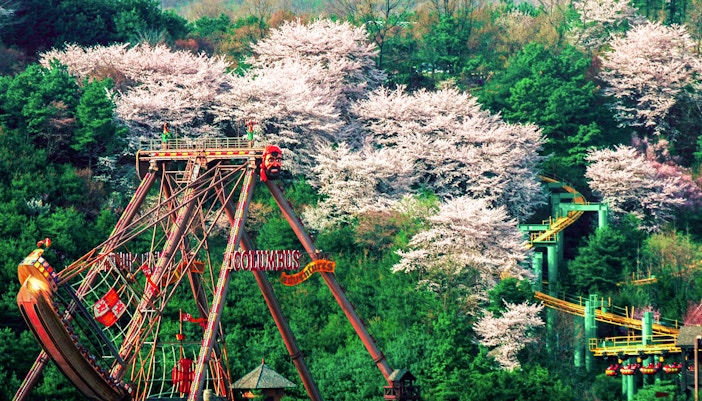 Everland Seoul tickets - Magic Land