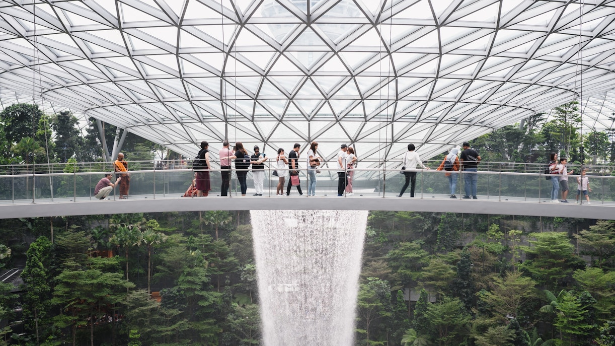 Why Visit Canopy Bridge?