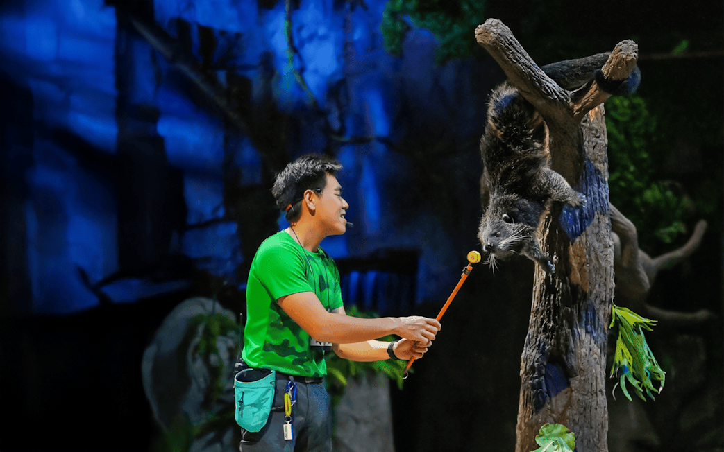 Binturong interacting with a presenter during Creature of the Night show.