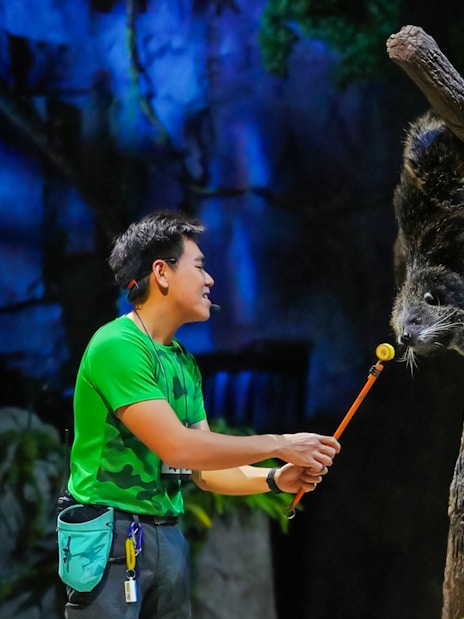 Binturong interacting with a presenter during Creature of the Night show.