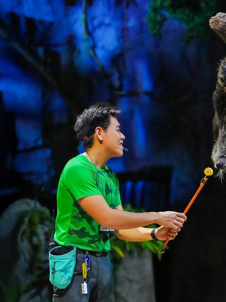 Binturong interacting with a presenter during Creature of the Night show.