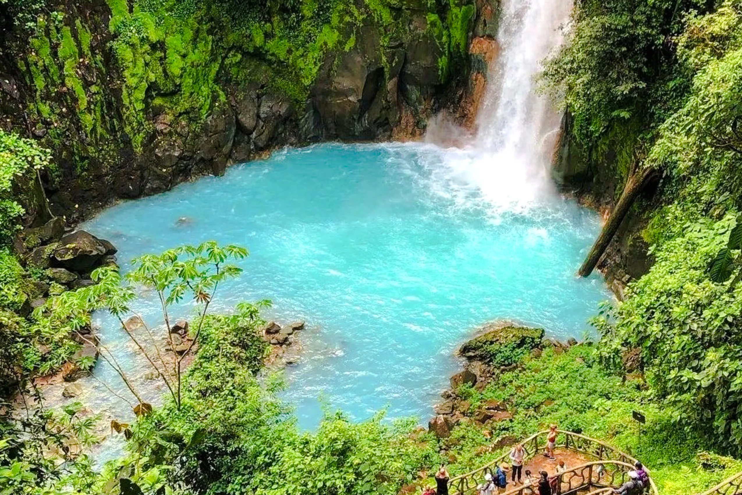 Rio Celeste Rain Forest, Llanos Waterfall & Sloths