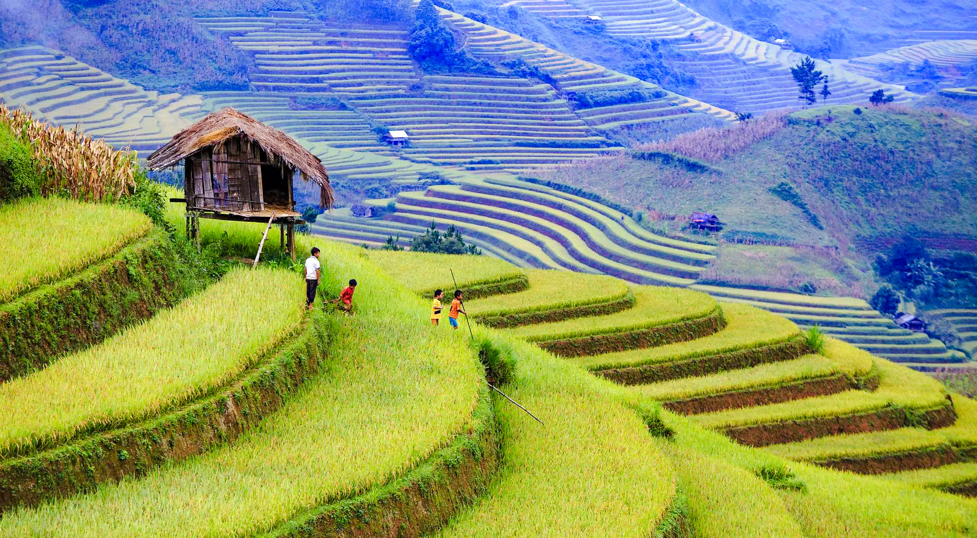 cat cat village small-group guided tour from sapa town-9