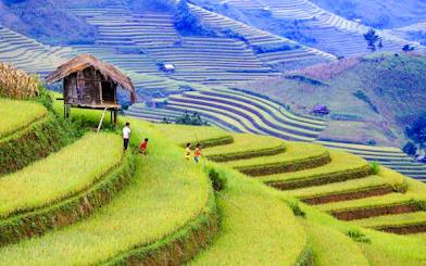 Cat Cat Village Small-Group Guided Tour from Sapa Town