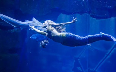 Mermaid performing underwater show at Aquarium de Paris with fish swimming nearby.