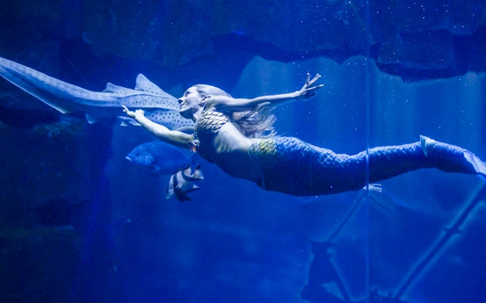 Mermaid performing underwater show at Aquarium de Paris with fish swimming nearby.