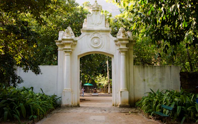 Rio de Janeiro Botanical Garden and Parque Lage Guided Tour with Professional Photos