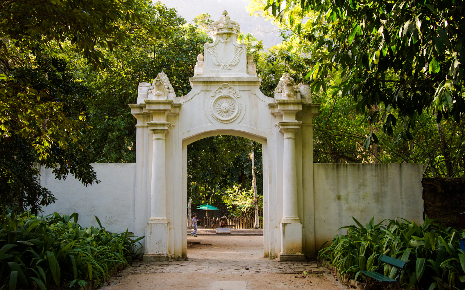 Rio de Janeiro Botanical Garden and Parque Lage Guided Tour with Professional Photos Image 5